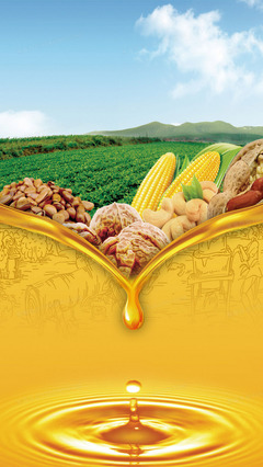 健康食用油 烹饪中的智慧选择